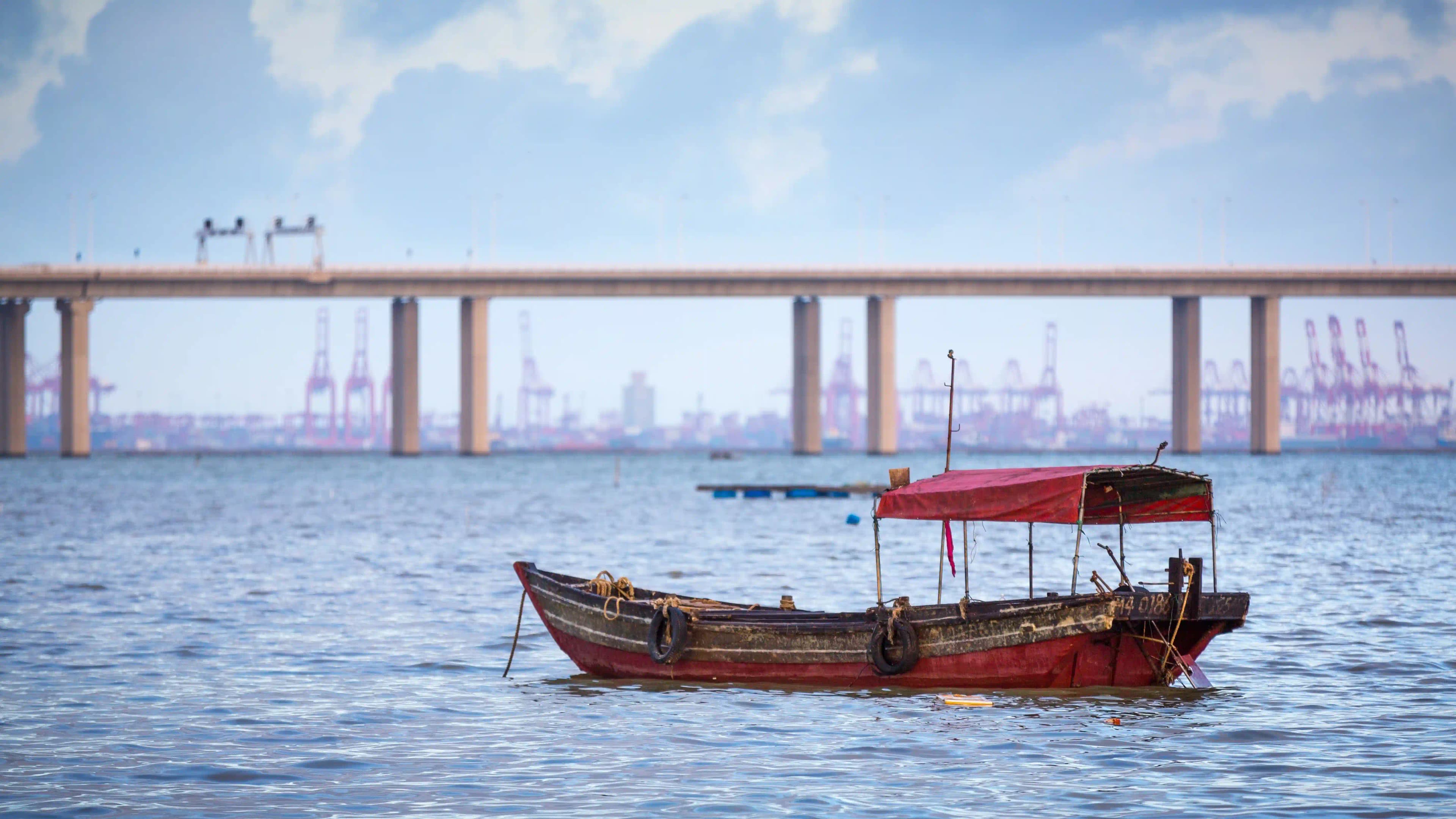 Things to do in Kochi