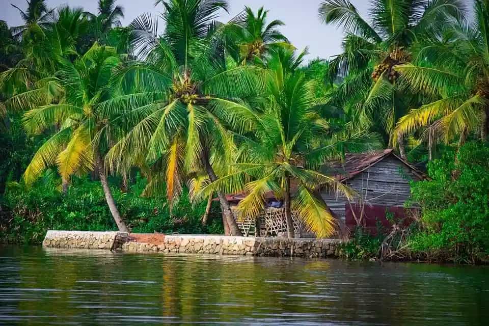 Things to Do in Kozhikode