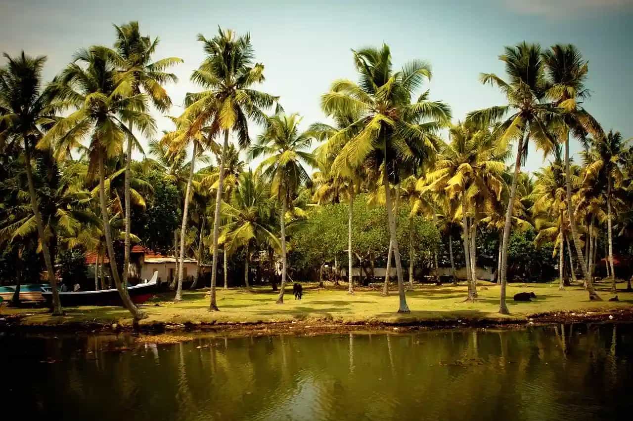 Things to Do in Palakkad