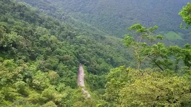 Things to Do in Wayanad