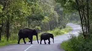 Places to Visit in Wayanad in 2 Days