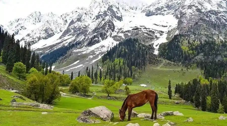 Drass Valley