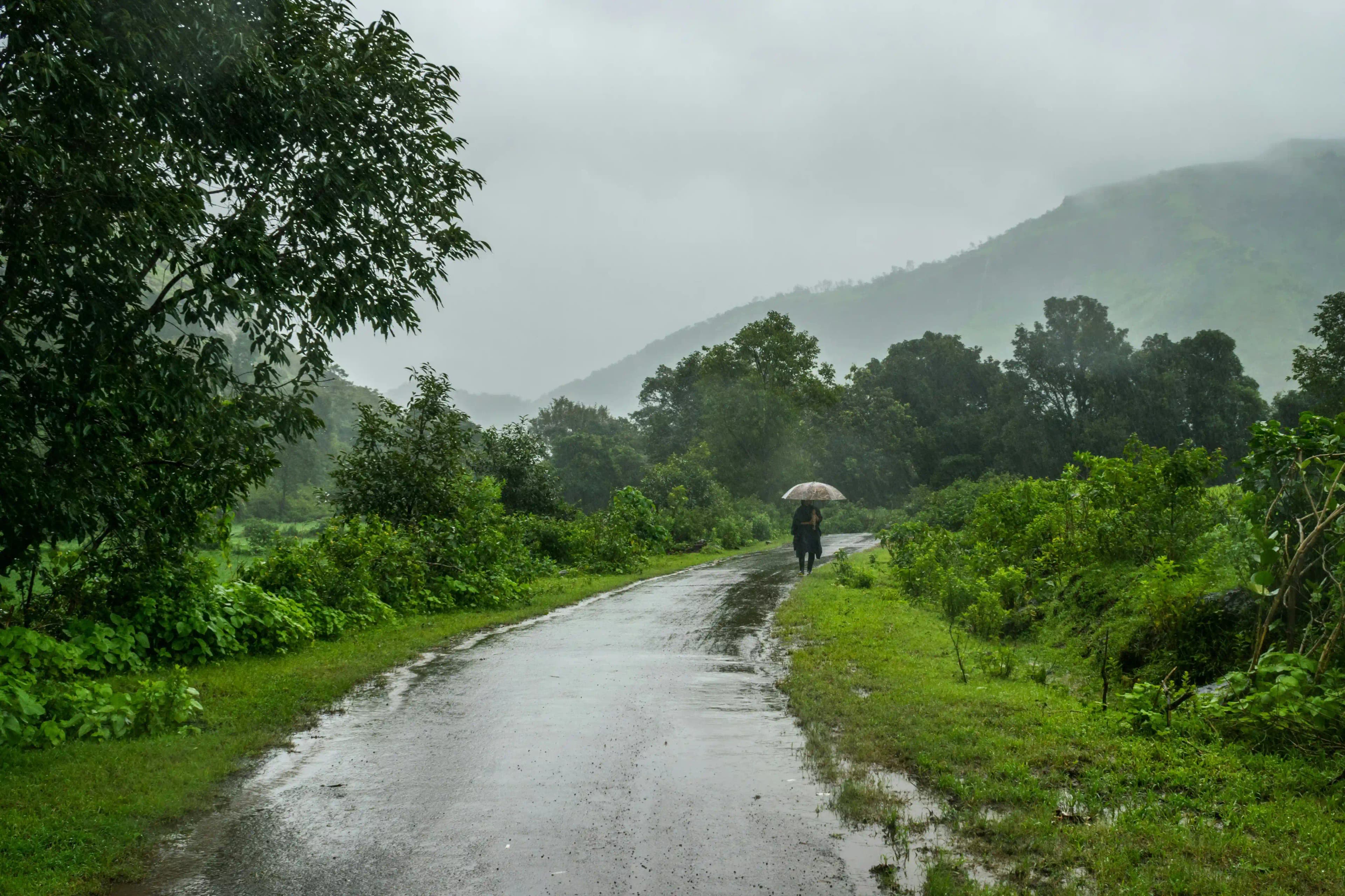 Best Time To Visit Malshej Ghat