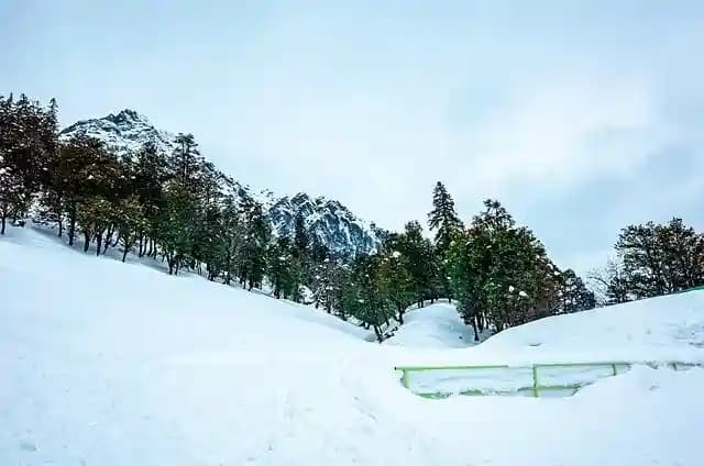 Best Time To Visit Manali For Snowfall