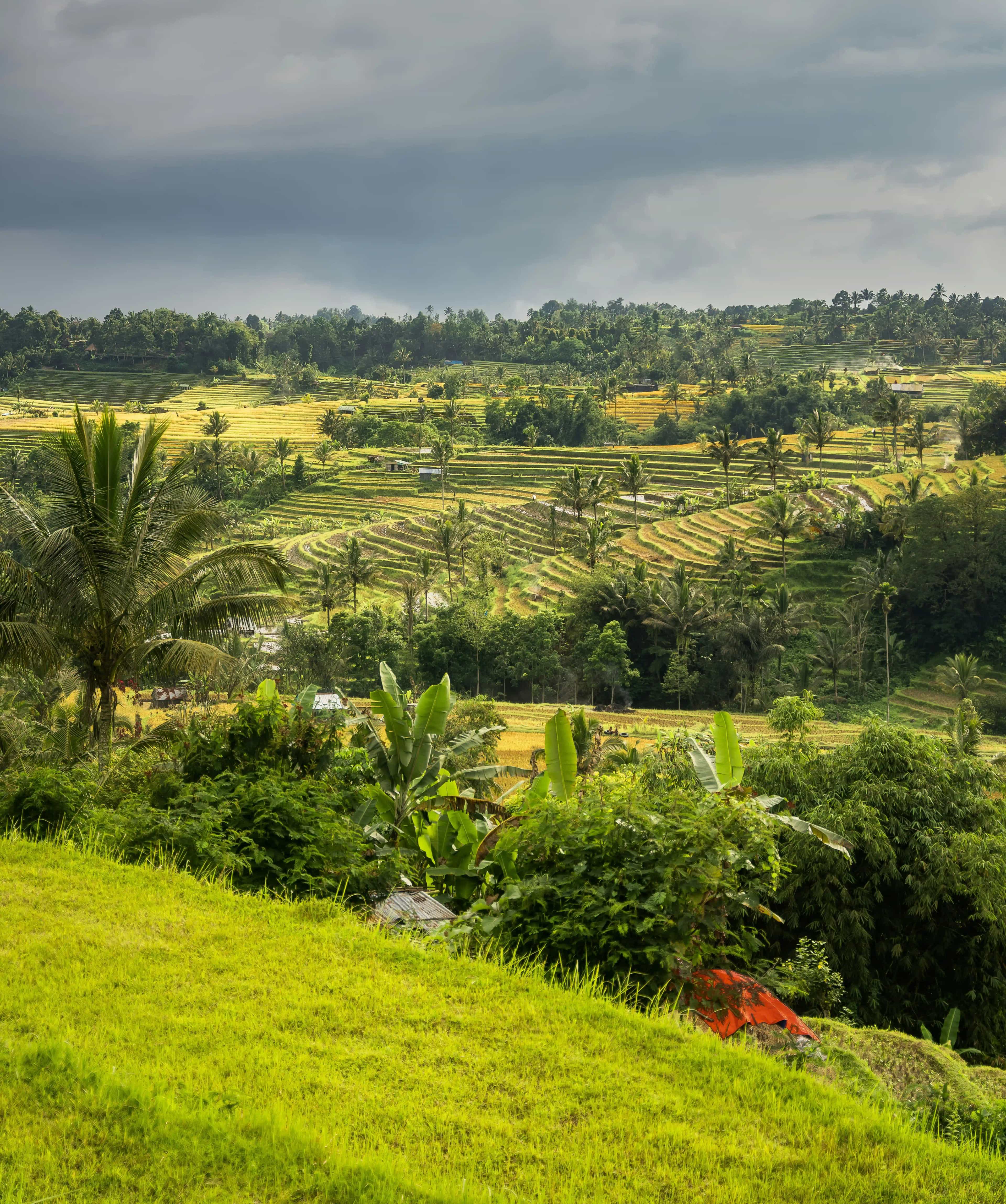 Mawlynnong village meghalaya