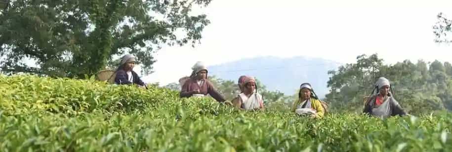 The Hidden Gem - Cleanest Village in Asia - Mawlynnong