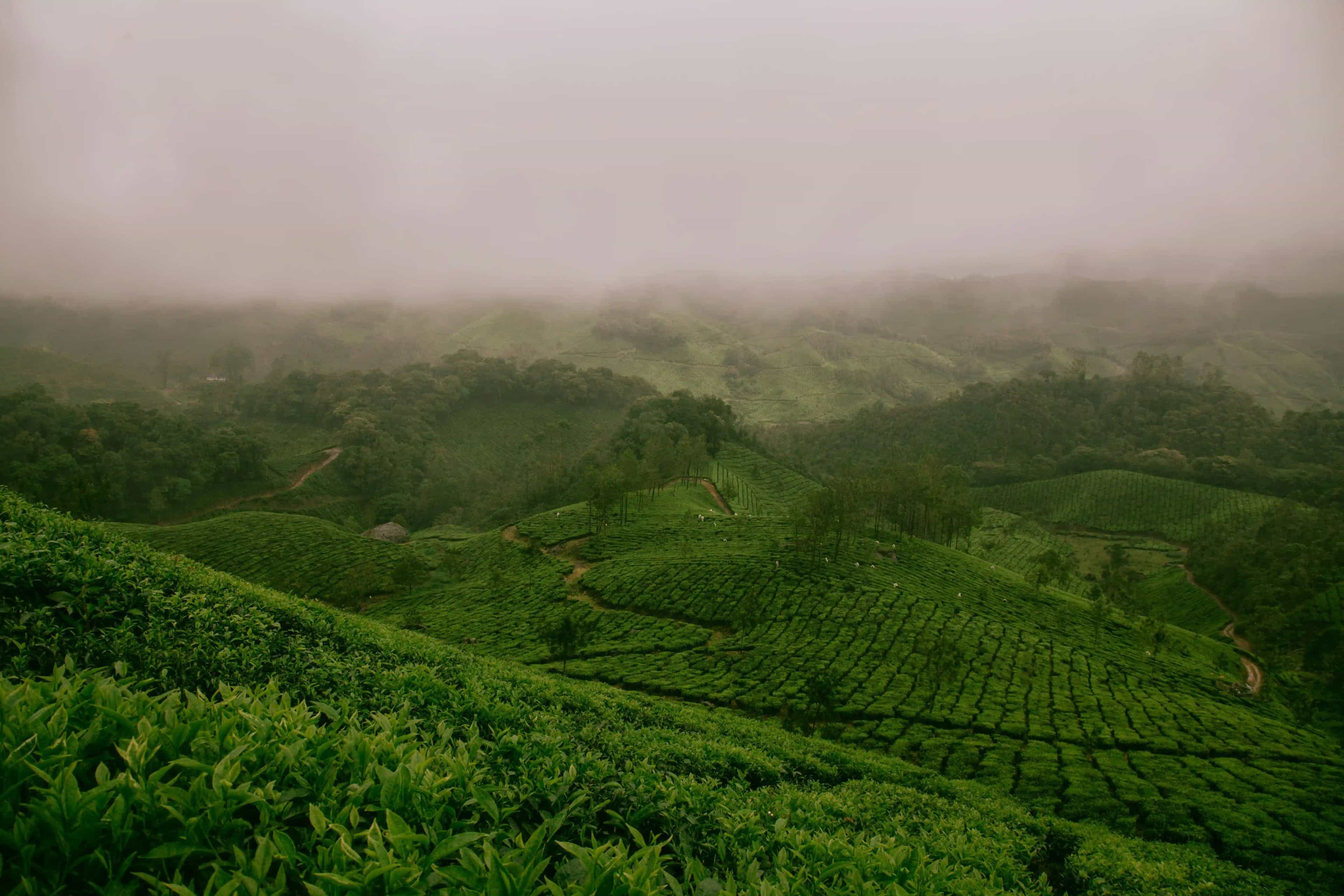 Best Places to Visit in India