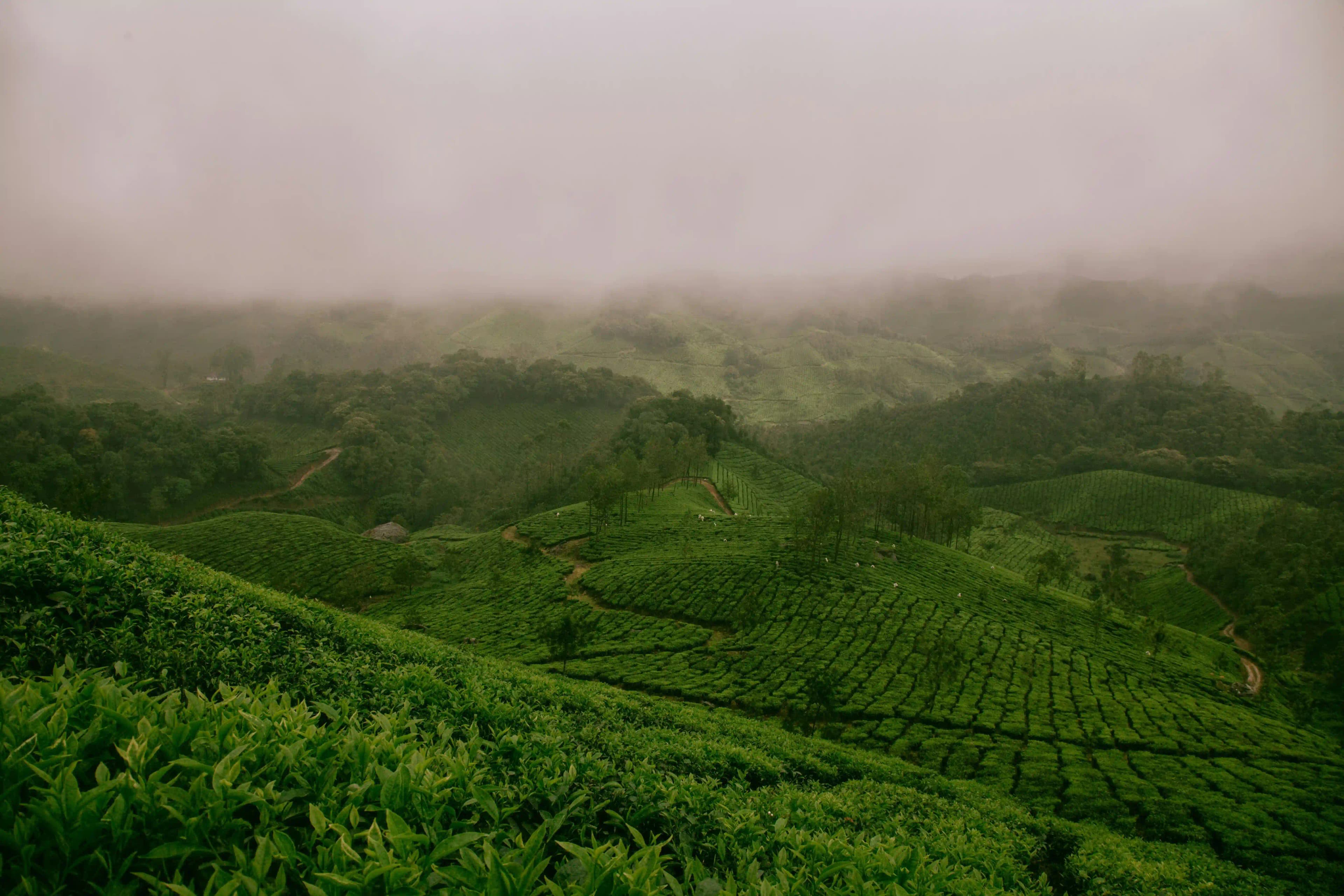 Best Places to Visit in India