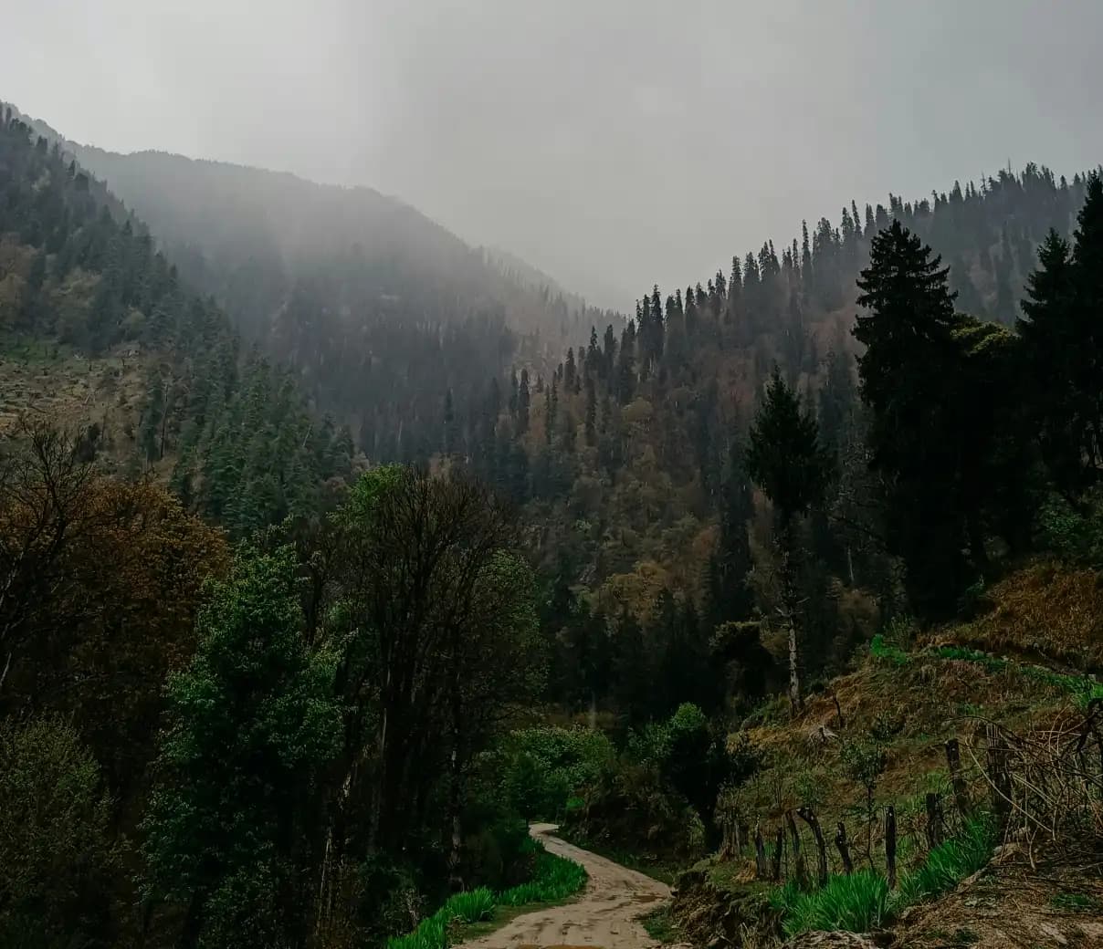 Tirthan Valley With Shangarh