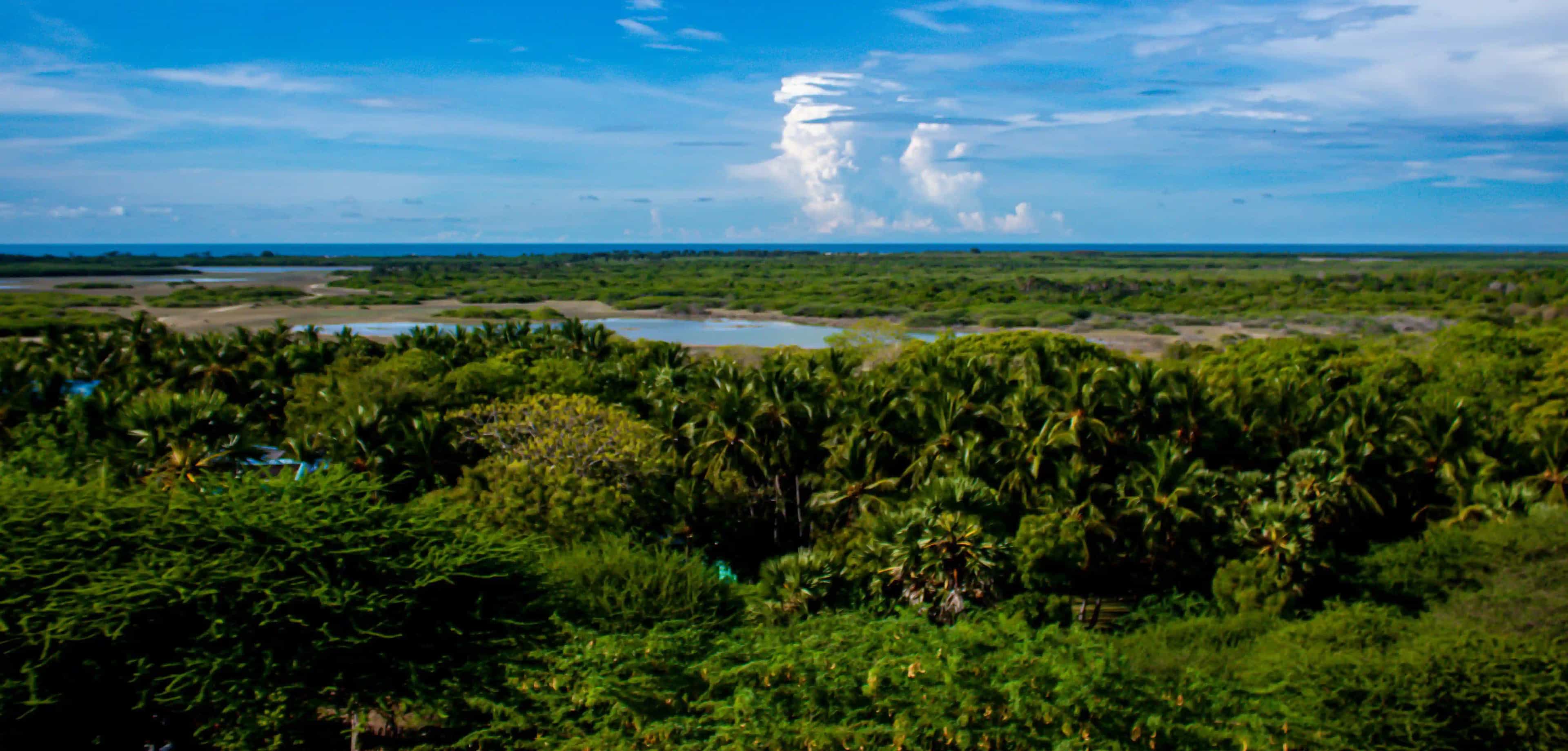 Hill Stations in Tamil Nadu