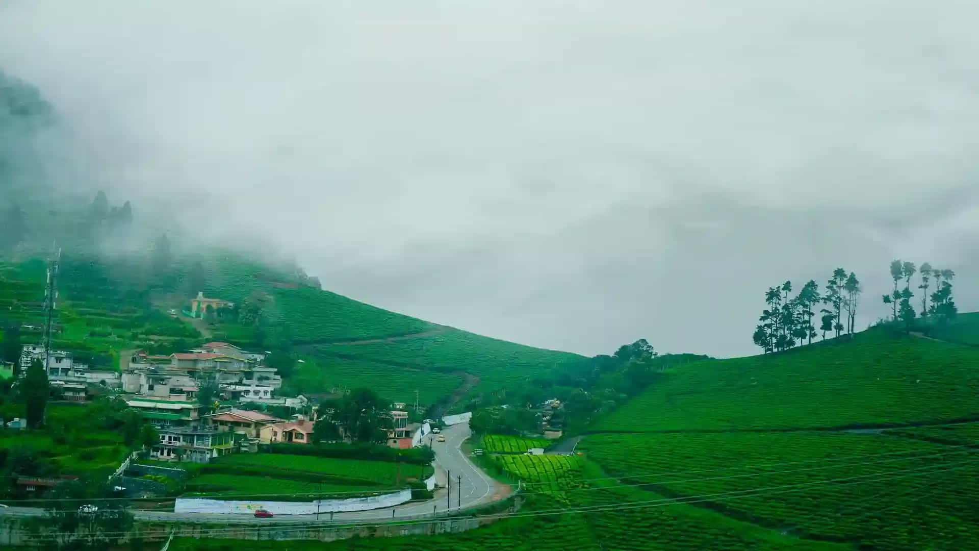 Places To Visit in Ooty