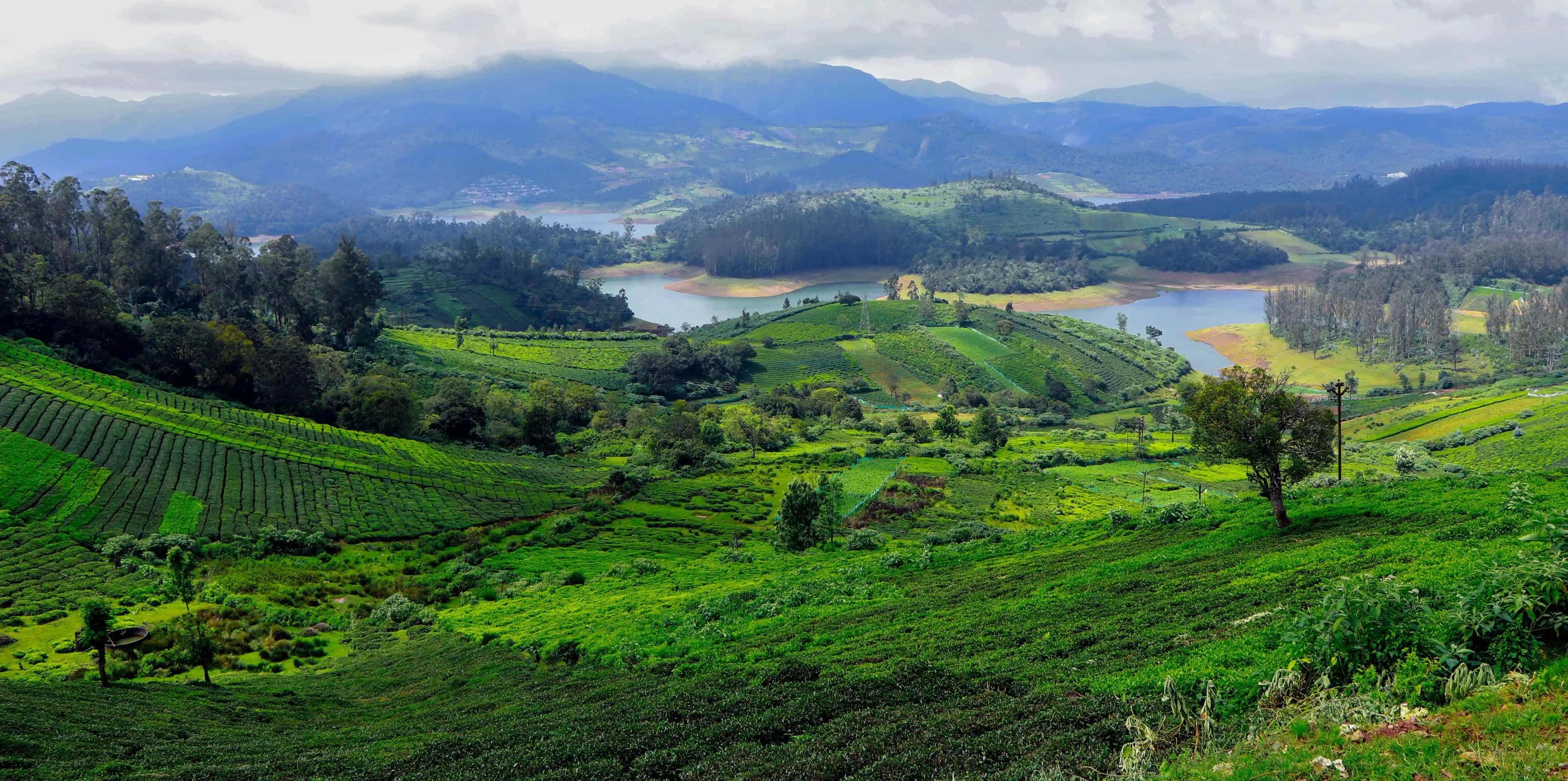 Places To Visit Near Ooty