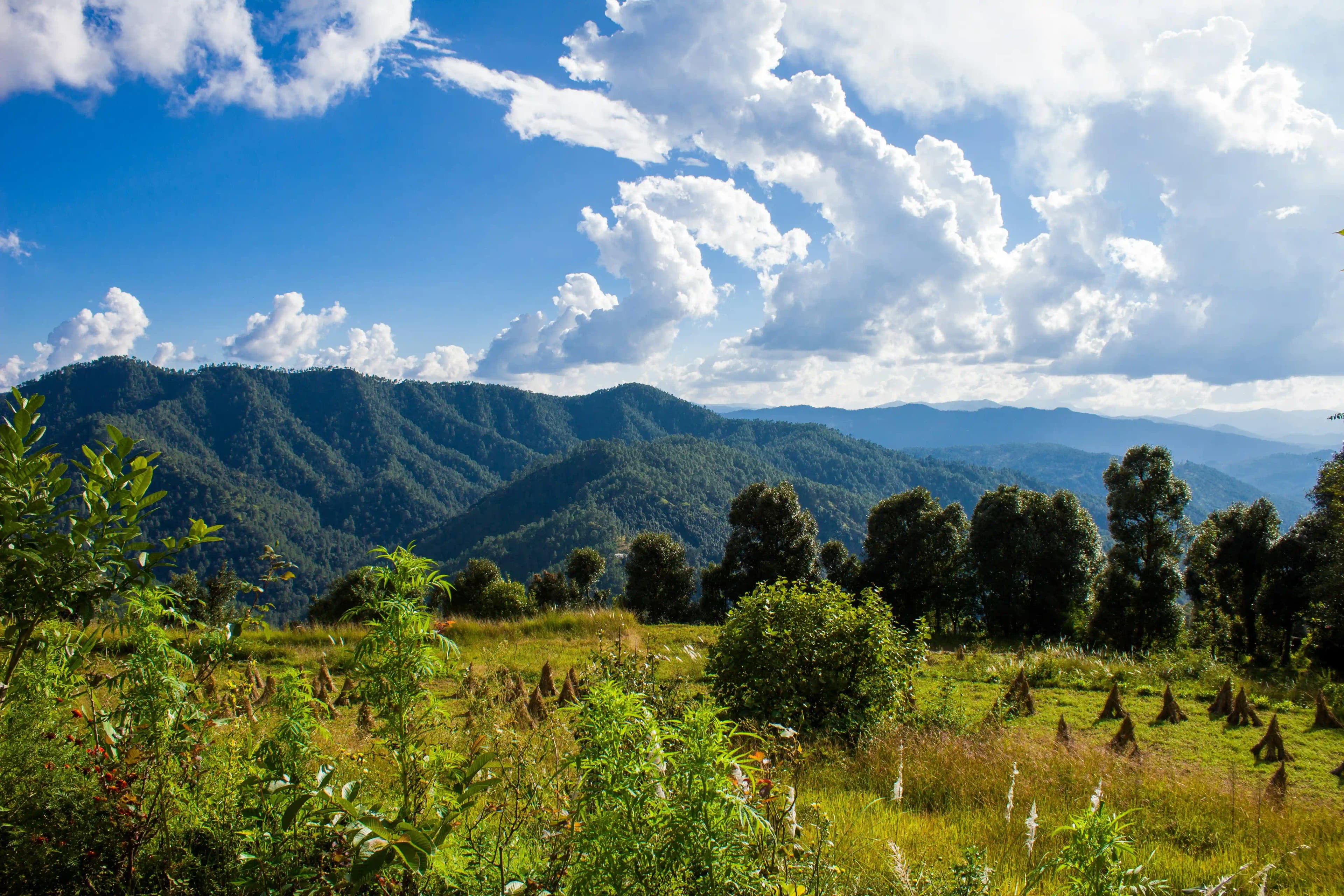 Places to Visit in Binsar