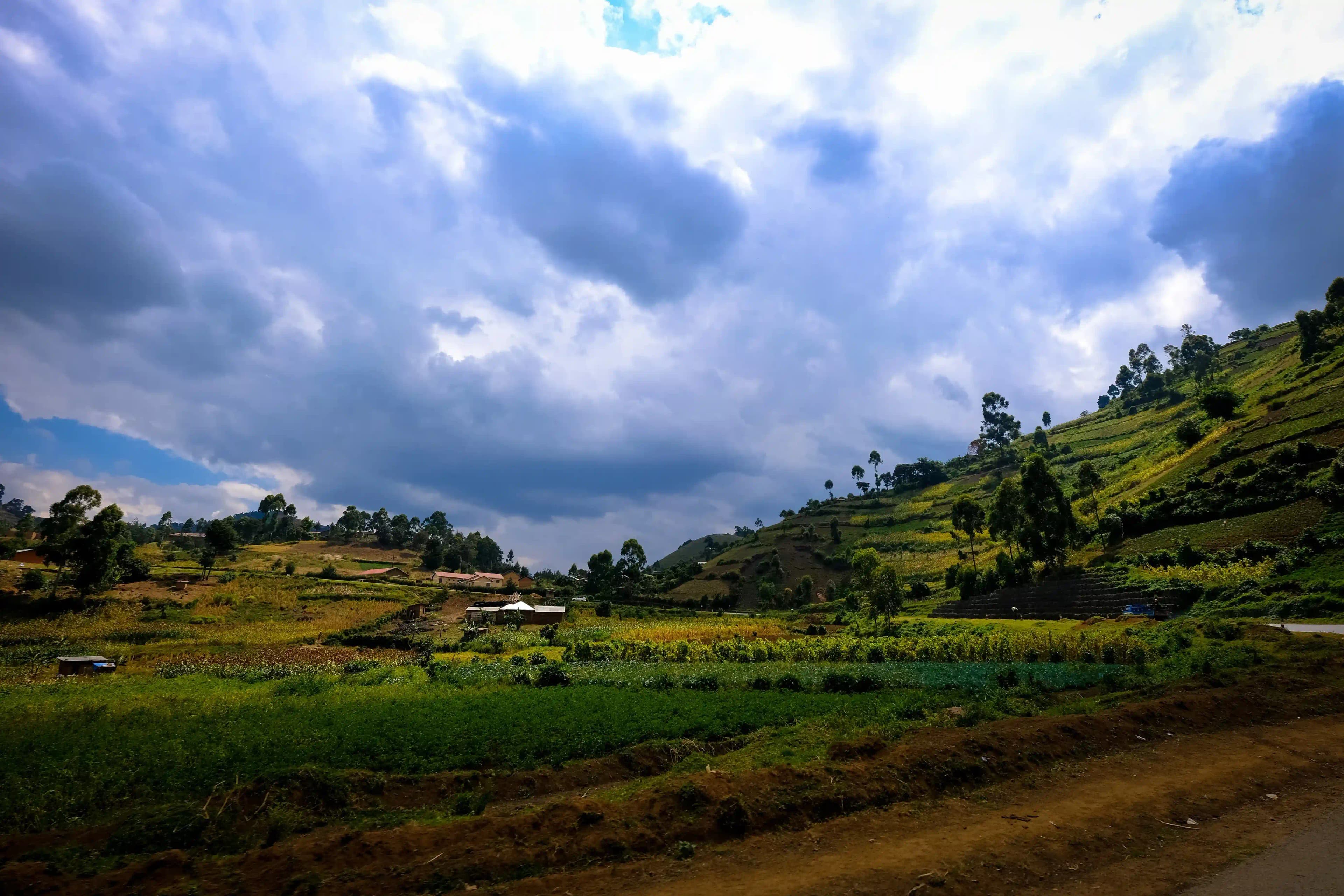 Things To Do In Dhanaulti