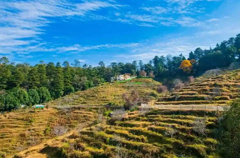 Things to do in Ranikhet