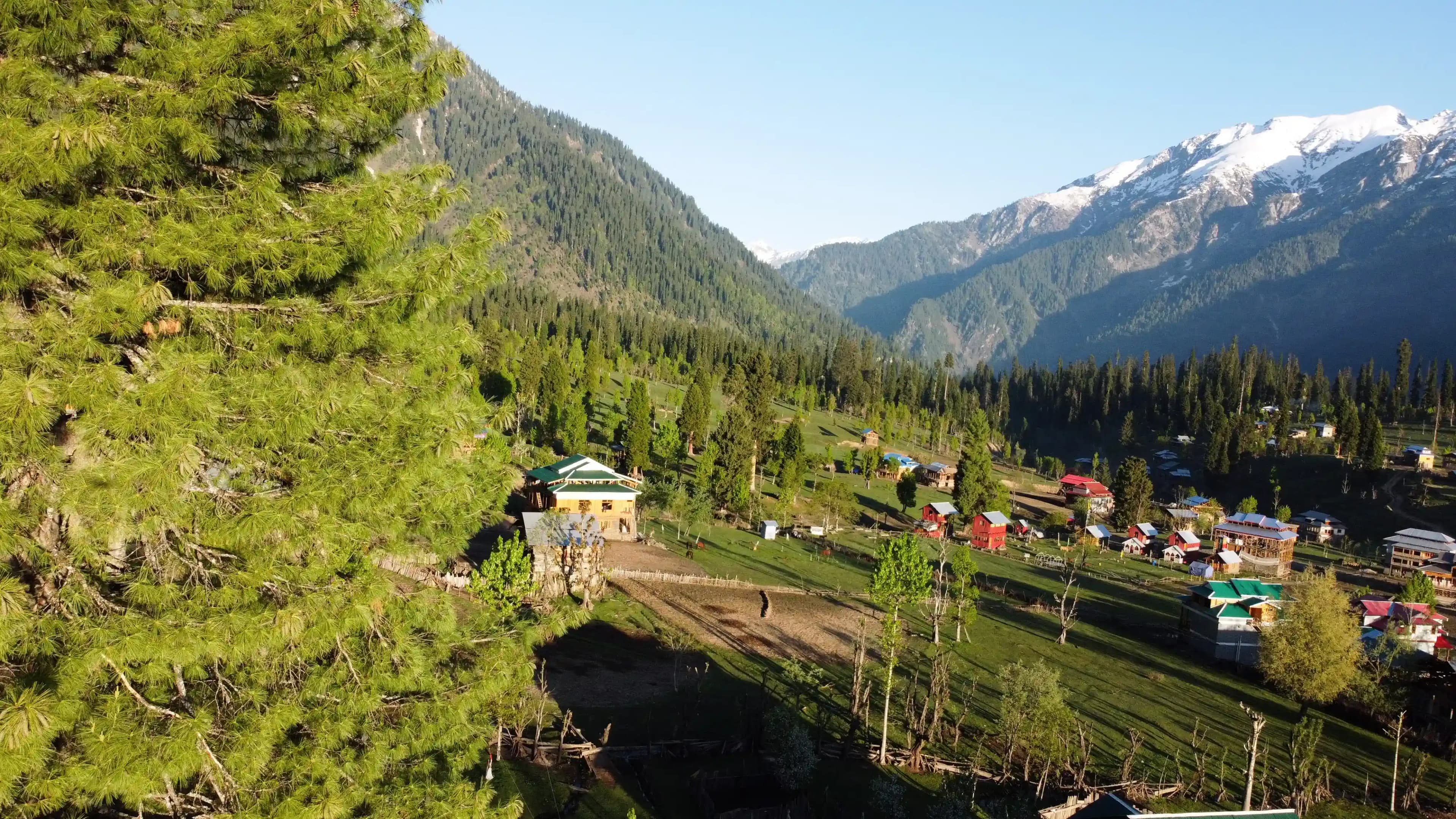 Places to Visit in Dehradun