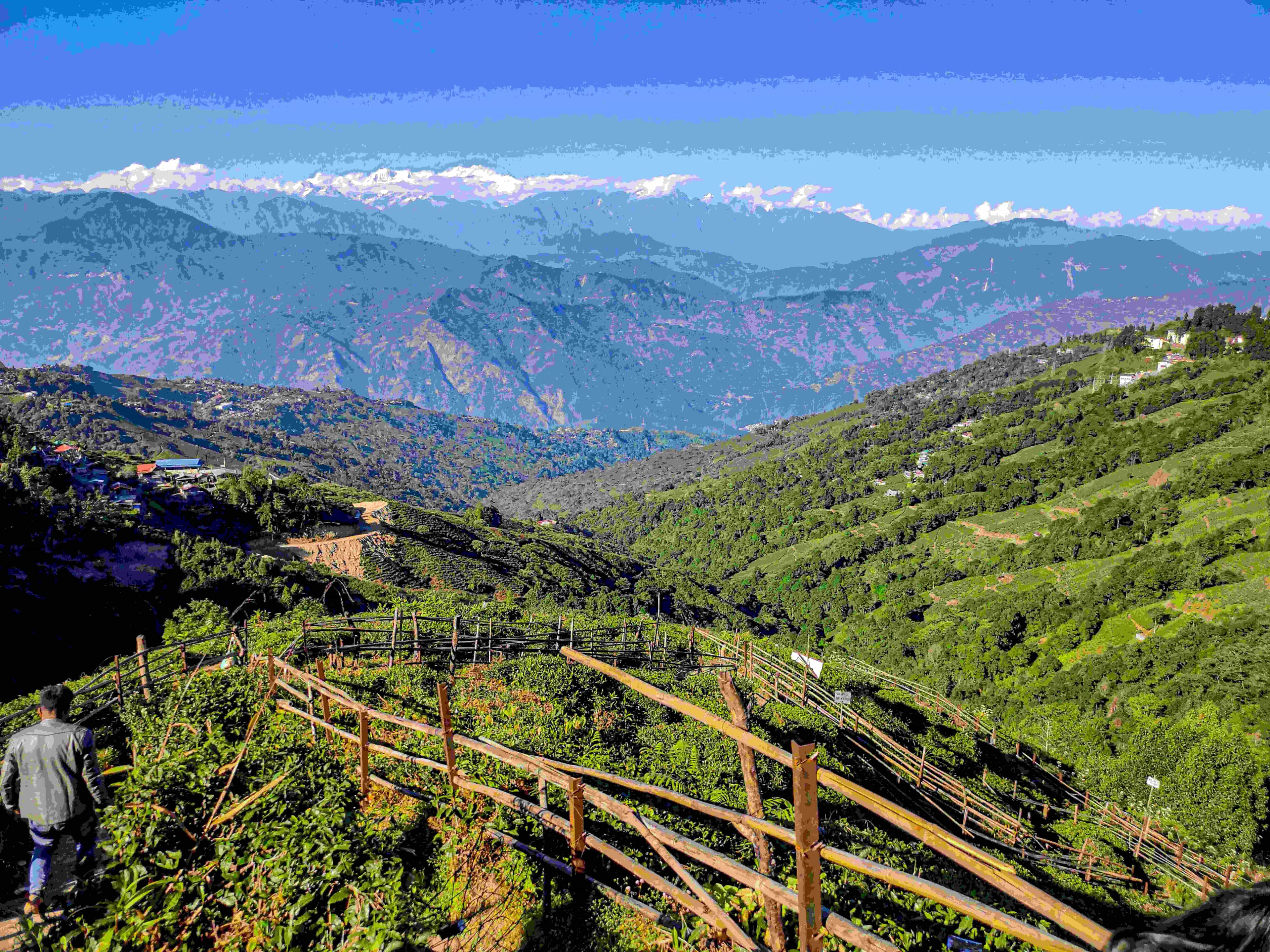 Best Time To Visit Darjeeling