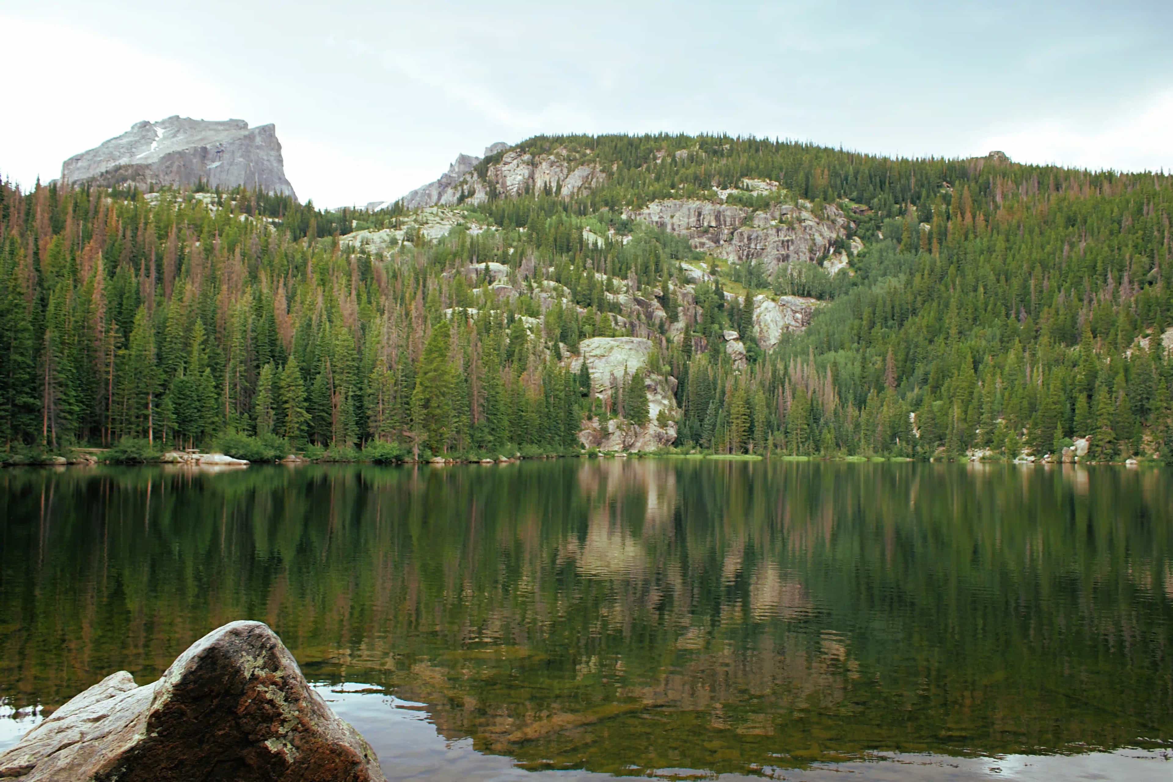 Places to Visit in Dooars