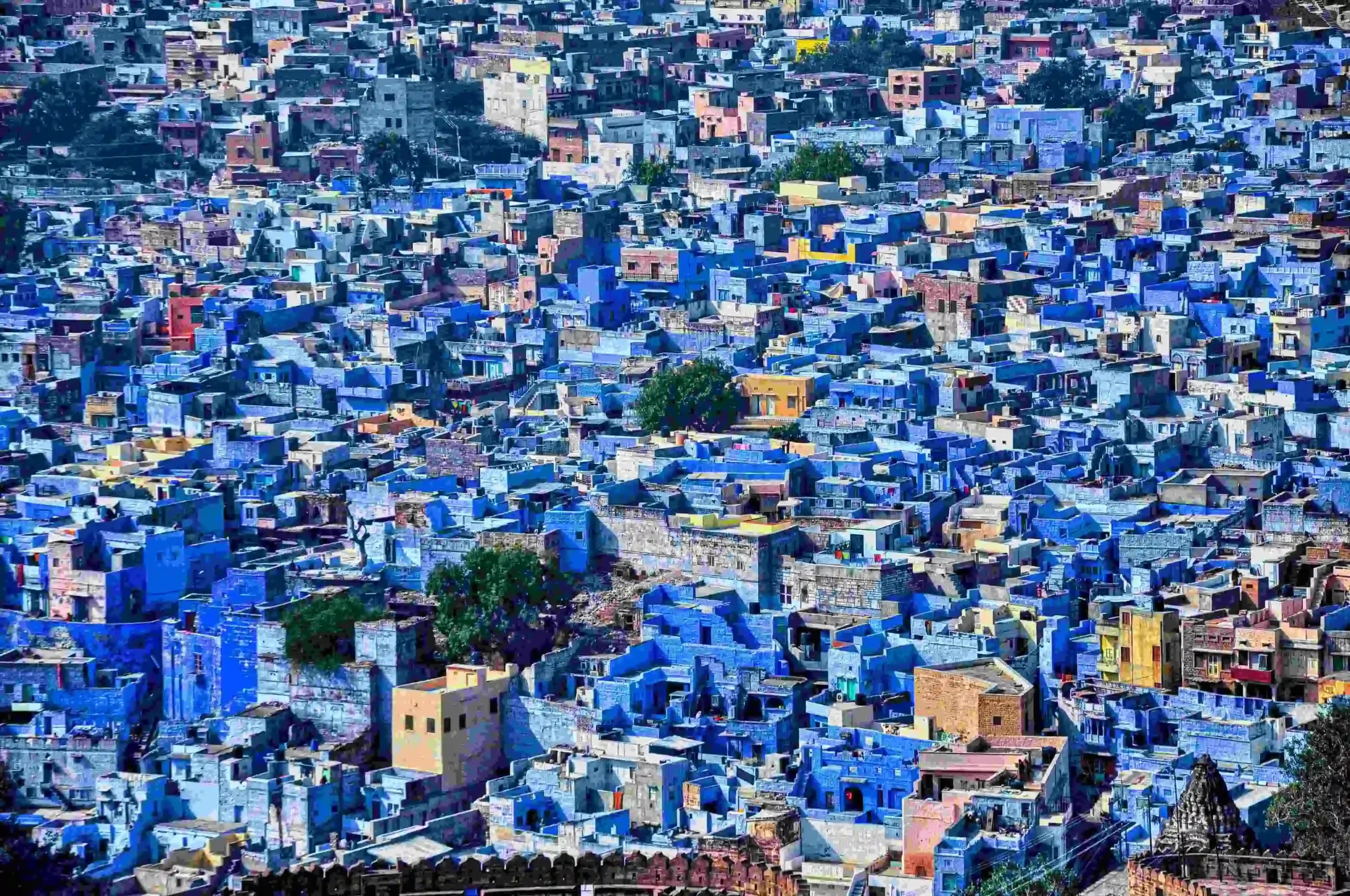 abhinav-tripathi-3FeeAbwIO2o-unsplash.webp