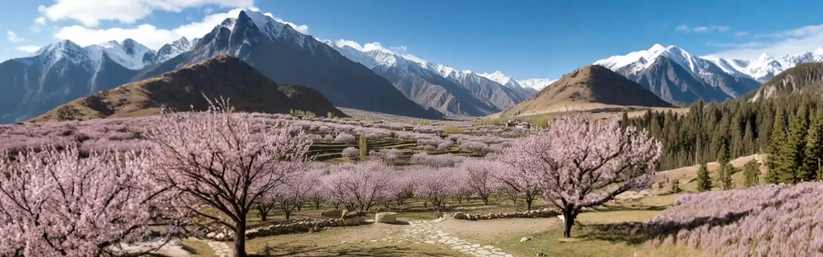 Ladakh Apricot Blossom Tour Package