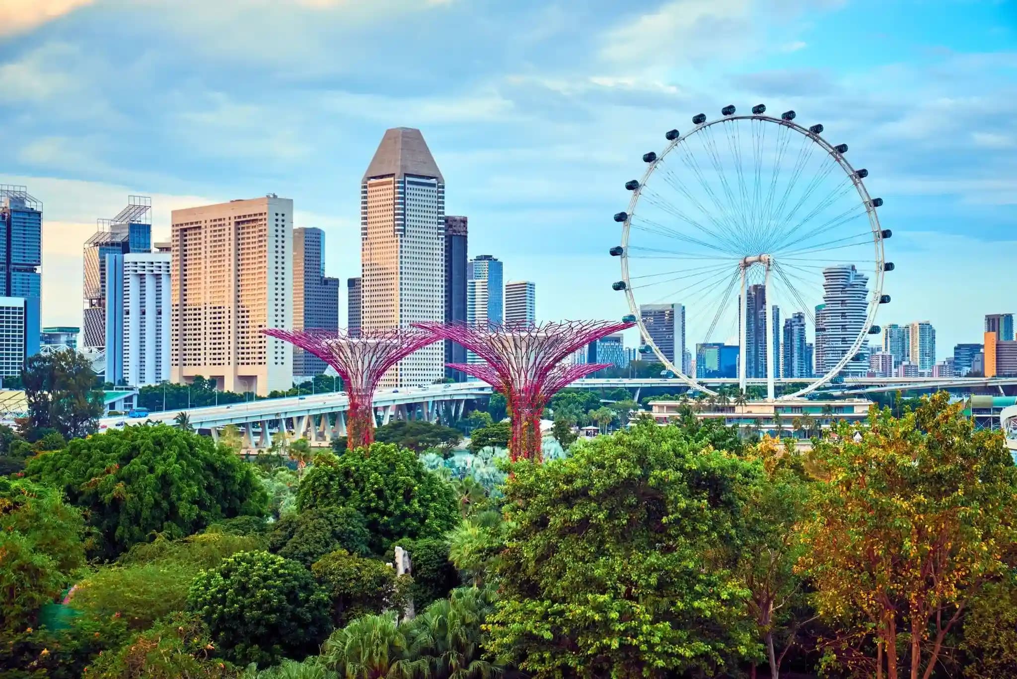 Singapore  Trip with Flights Package