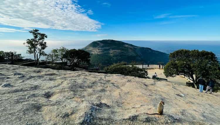 Nandi Rope 10 Best Places to Visit Near Nandi Hills: Scenic Escapes